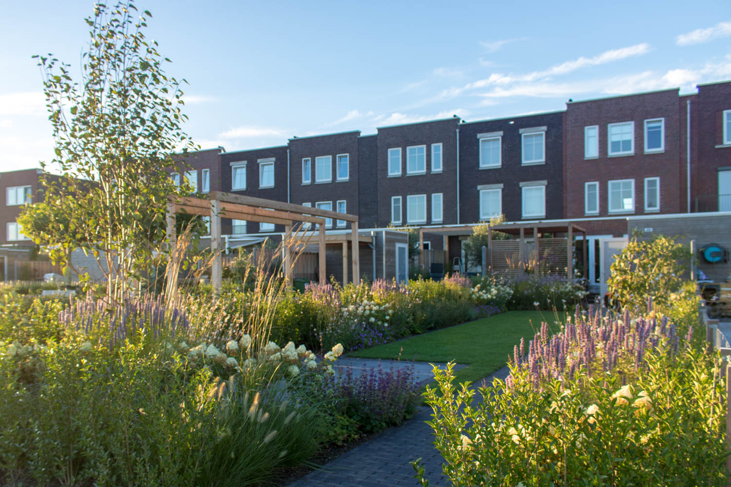 Ontwerp voor een riante tuin aan het water op het zuidwesten. Grenzend aan het Oegstgeesterkanaal verbindt de tuin het nieuwbouwhuis aan een weids uitzicht.